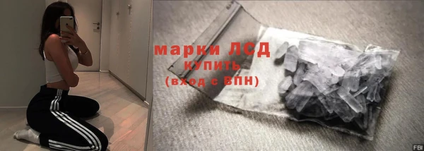 твердый Вяземский