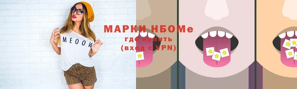 амф Липки